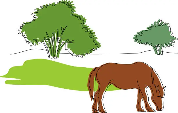 Vector illustration of Landscape with green shrub and brown grazing horse