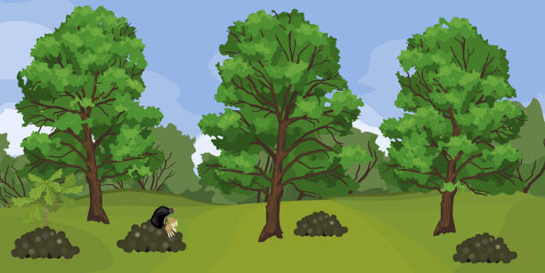 ilustraciones, imágenes clip art, dibujos animados e iconos de stock de paisaje de verano con mole negro en molehill y robles altos con copas verdes - topo común