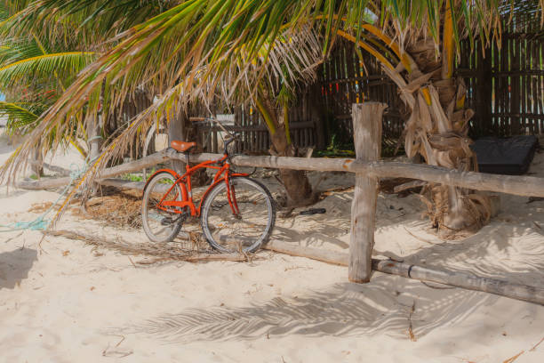 istock Bicycle parked on the tropical beach 1397023316