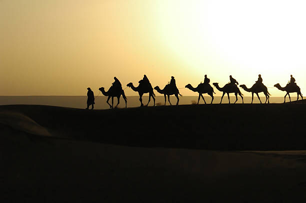 istock A camel train silhouette against the sunset 139702613