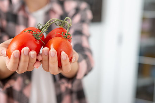 Female hand holding ripe tomato in kitchen.