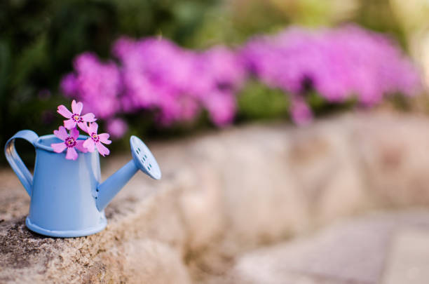 istock Little watering pot with water and flowers 1397027841