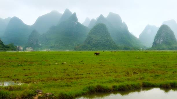 istock Karst peaks and farmland in springtime 1397029905