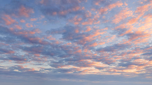 Pink blue sky with fluffy clouds at beautiful sunset as natural background. Atmospheric cloud great for nature desktop background use or sky replacement for real estate photography with the sunlight and abstract shape. dramatic sky stock pictures, royalty-free photos & images