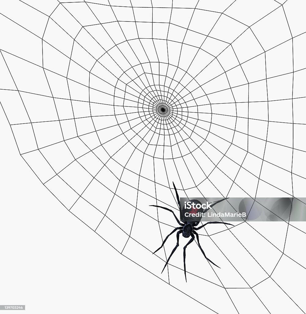 クロゴケグモにはウェブ-クリッピングパス - イラストレーションのロイヤリティフリーストックフォト