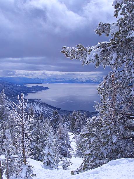 at Lake Tahoe 冬 ストックフォト