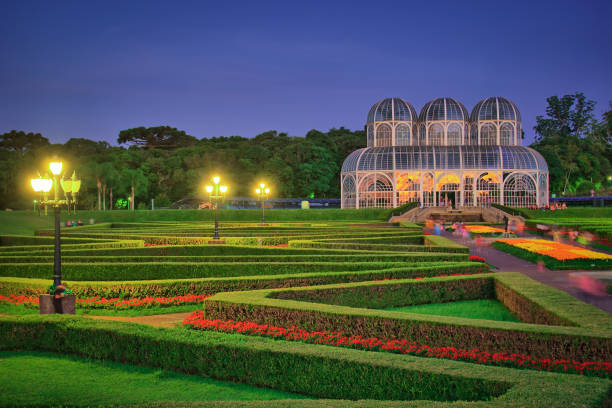 botanical garden in curitiba, paraná, brazil. - jardim botânico - fotografias e filmes do acervo