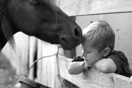 Horse kissing a young boy