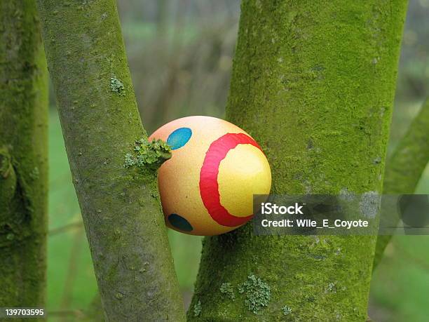 イースター卵に隠れたツリー - お祝いのストックフォトや画像を多数ご用意 - お祝い, まぶしい, イースター