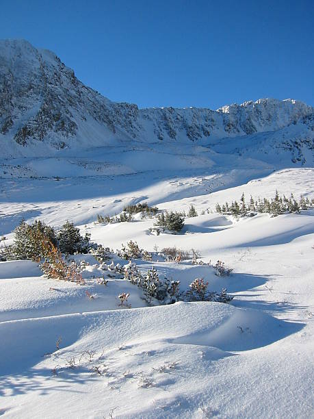 Winter Mountain Scene stock photo