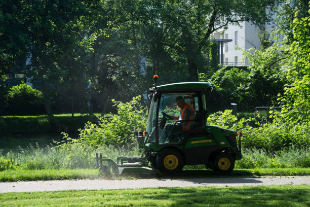 pracownik miejski prowadzący zielony ciągnik i kosiarkę, ścina trawniki w parku miejskim - lawn mower red plant lawn zdjęcia i obrazy z banku zdjęć