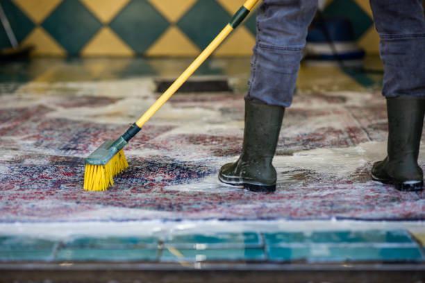 istock Carpet chemical cleaning with brush. 1397038048