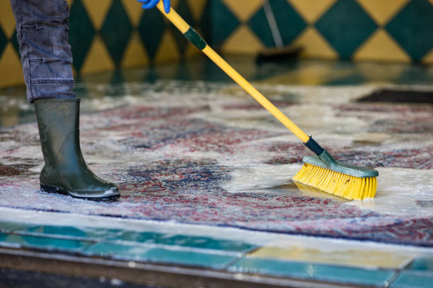 istock Carpet chemical cleaning with brush. 1397038061