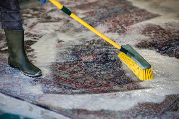 istock Carpet chemical cleaning with brush. 1397038097