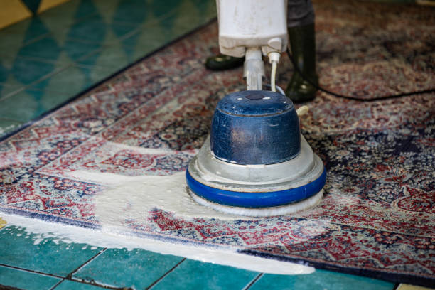 istock Carpet chemical cleaning with brush. 1397038106
