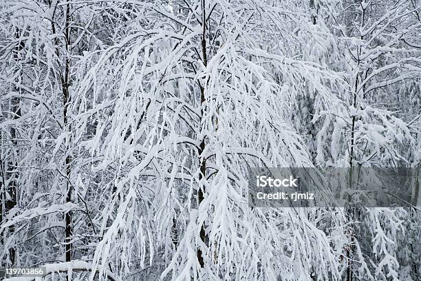 Śniegu Banialuki - zdjęcia stockowe i więcej obrazów Chłodny - Chłodny, Cień, Fotografika