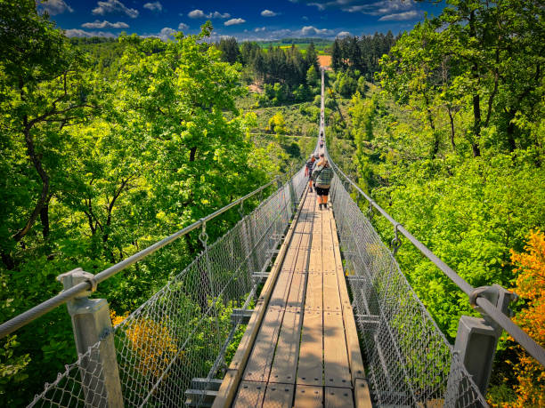 hängebrücke-geierlay - hunsrück stock-fotos und bilder