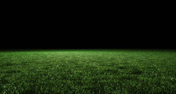 Low angle view of lush green lawn at night illuminated by light. Template for displaying your product, black background Low angle view of lush green lawn at night illuminated by light. Template for displaying your product, black background. low pitch stock pictures, royalty-free photos & images