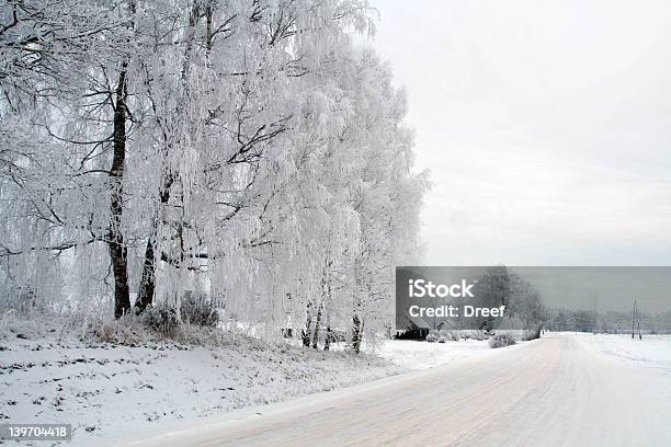 Bianco Inverno - Fotografie stock e altre immagini di Albero - Albero, Albero spoglio, Ambientazione esterna