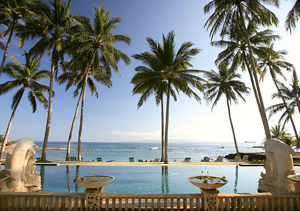 istock Ocean view of relaxing resort surrounded by big palm trees 139704524