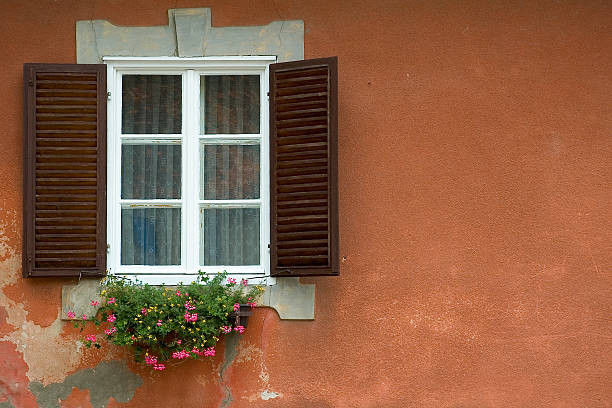 window flowers stock photo