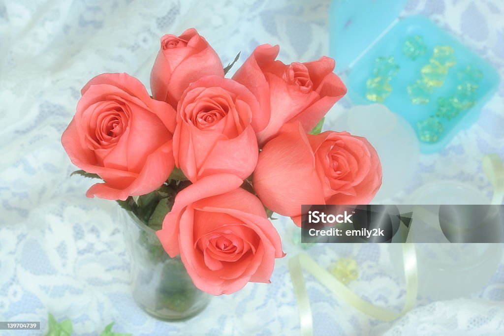 Pink Roses soft diffuser on the camera len 6-7 Years Stock Photo