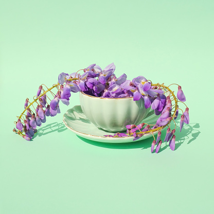 Mint green coffee cup with wisteria flowers against pastel mint background. Natural minimal concept. Creative spring idea. Wisteria decoration.