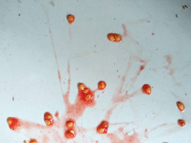 istock the splash of falling tomatoes makes the floor dirty 1397049074