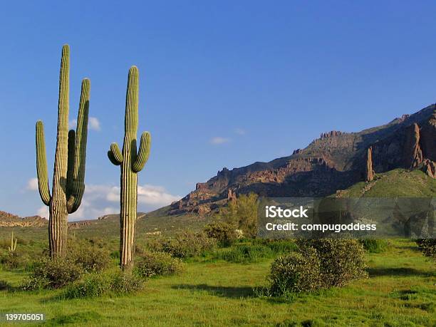 Montanhas Superstition E Sahuaro - Fotografias de stock e mais imagens de Ao Ar Livre - Ao Ar Livre, Arizona, Cato