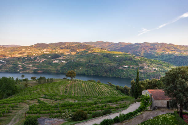 istock Douro Valley in Portugal 1397050620
