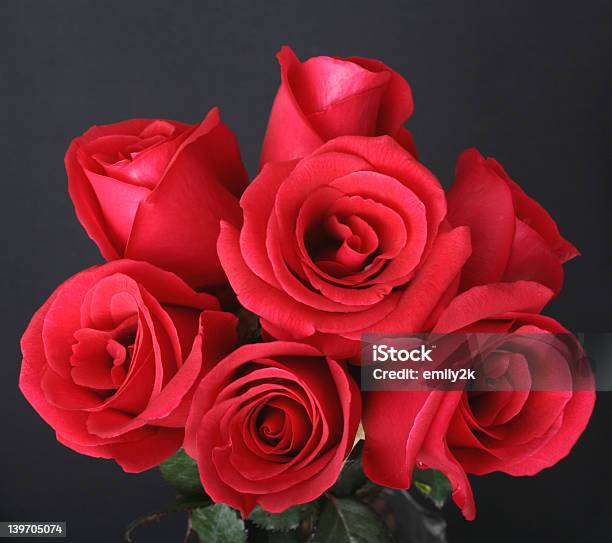 Red Rosas Foto de stock y más banco de imágenes de Afrodescendiente - Afrodescendiente, Alegre, Amor - Sentimiento