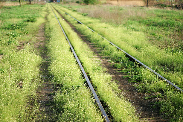 Rails stock photo