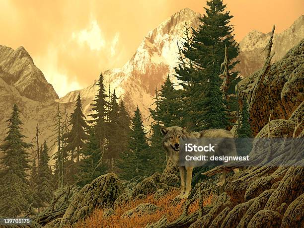 Lobo - Fotografias de stock e mais imagens de Lobo - Cão Selvagem - Lobo - Cão Selvagem, Parque Nacional de Yellowstone, Rio Yellowstone