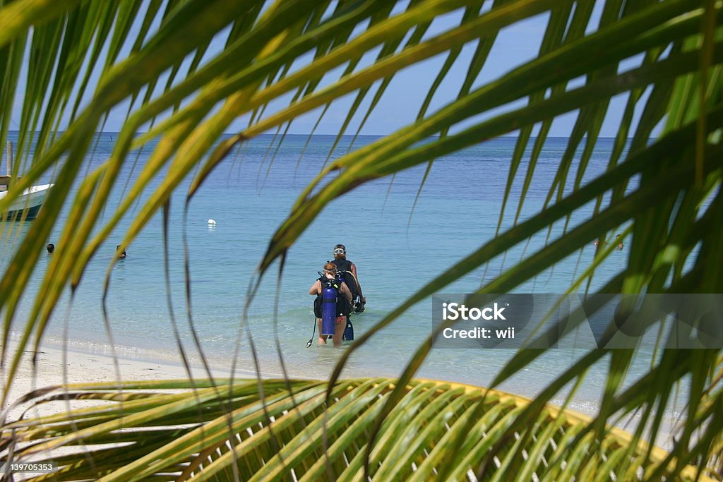 Plage plongée sous-marine à travers les palmiers - Photo de Activité de loisirs libre de droits