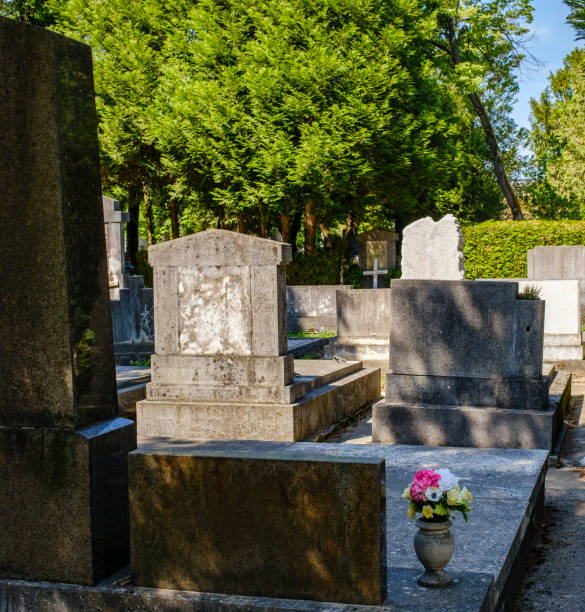 istock part of the main Zagreb cemetery 1397054095