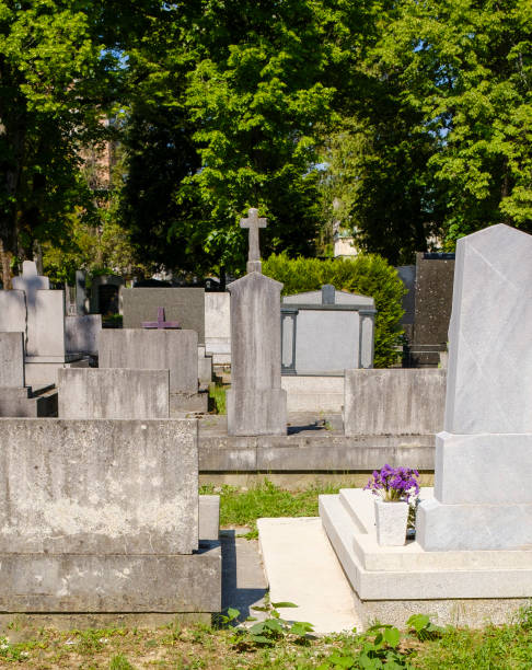 istock part of the main Zagreb cemetery 1397054184