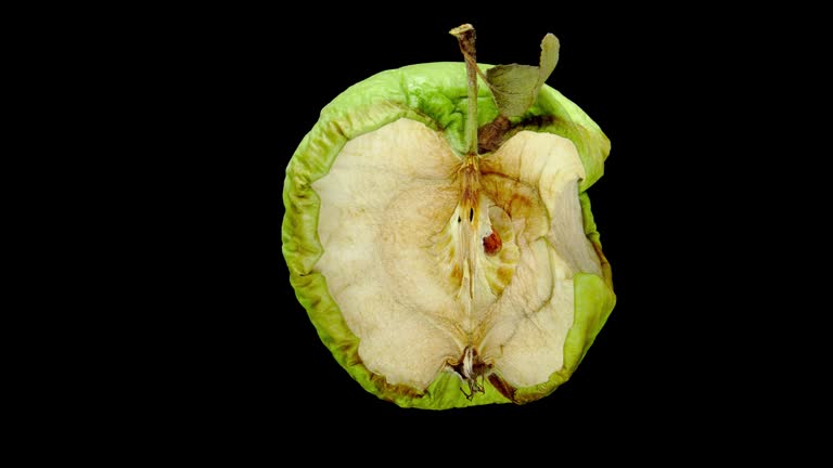 Bitten half of apple dry up, high quality time lapse shot, isolated on black