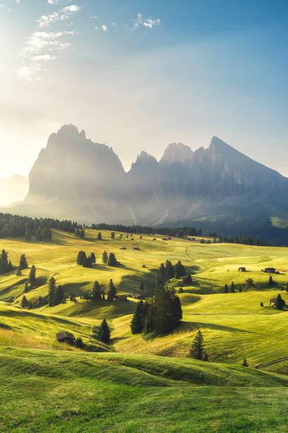 Summer sunrise in Italian Dolomiti Alps. Seiser Alm or Alpe di Siusi alpine meadow, Bolzano province, South Tyrol, Italy Summer sunrise in Italian Dolomiti Alps. Seiser Alm or Alpe di Siusi alpine meadow, Bolzano province, South Tyrol, Italy, Europe. Vertical orientation trentino south tyrol stock pictures, royalty-free photos & images