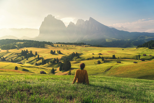 Beautiful Scenics of lupine flower in front of the Odle mountain peaks,in spring, Val di Funes valley,italy