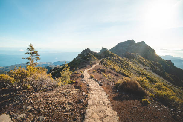 Hiking trail under the Encumeada Baixa mountain with a destination on Madeiras highest mountain, Pico Ruivo. The sun shines on the side of the Madeiran mountain range. Discover portugal island stock photo