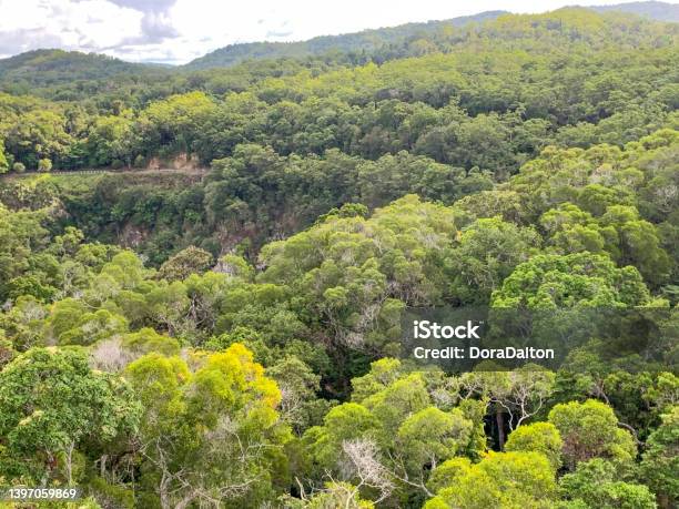 Cable Cars Over Tropical Rainforest At Kuranda Queensland Australia Stock Photo - Download Image Now