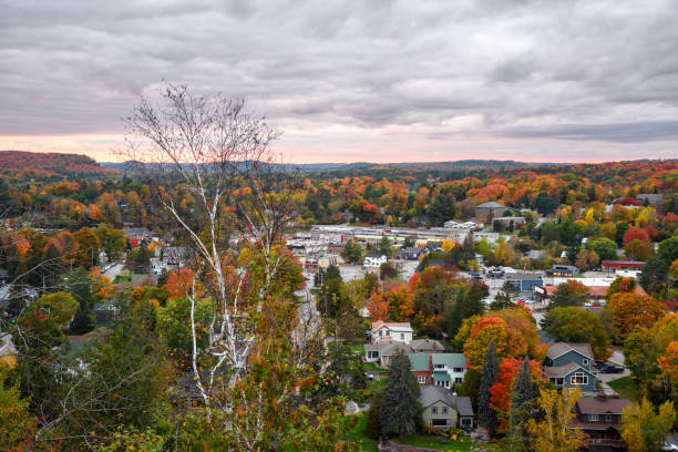 istock Shopping centre surrounded by deciduous forest under cloudy sky at sunset 1397060245