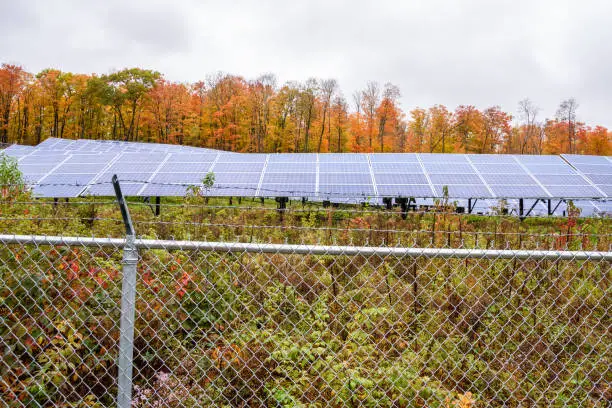Photo of Solar plant in a fenced field with autumn trees in background