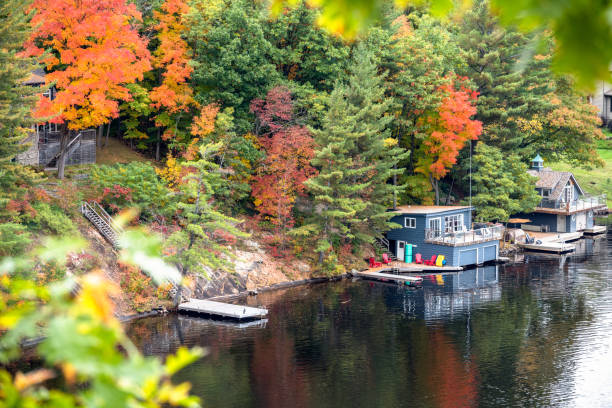 Boathouses and wooden jetties on the wooded shore of a lake in autumn Boathouses and jetties on the rocky shore of a lake in autumn. Colourful Adirondack chairs are on the jetties. Autumn colours. Fairy Lake, Huntsville, ON, Canada. huntsville ontario stock pictures, royalty-free photos & images