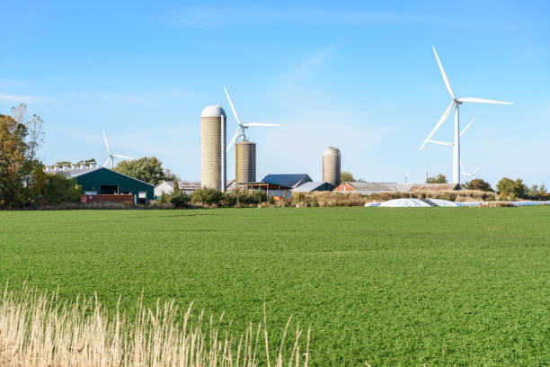Farm buildings and silos with tall wind turbines in background on a clear autumn day. Renewable energy concept. Wolfe Island, ON, Canada.