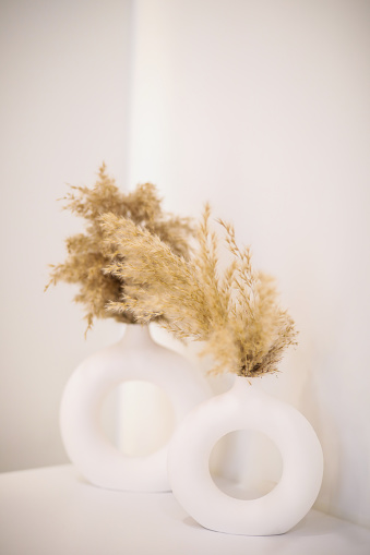 Pampas Grass and Indoor Decor Concept