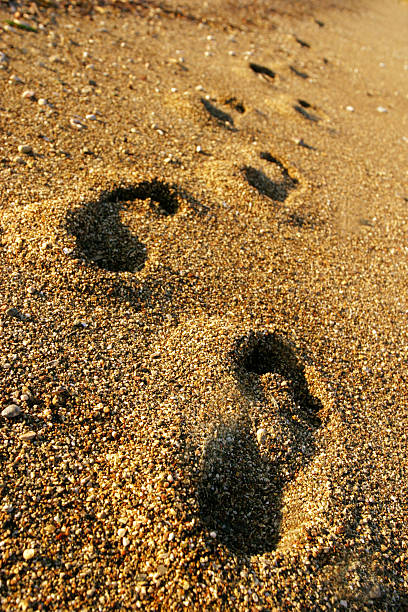 접지면 - sand footprint track following 뉴스 사진 이미지
