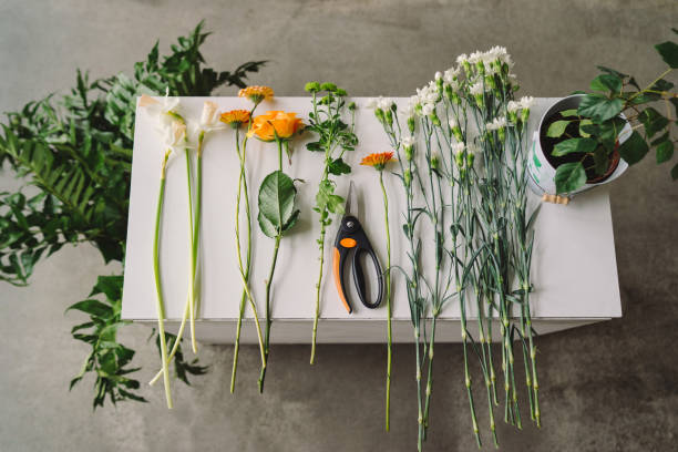 istock Florist workspace top view. Flowers, greenery and secateurs on white wooden table. 1397062445