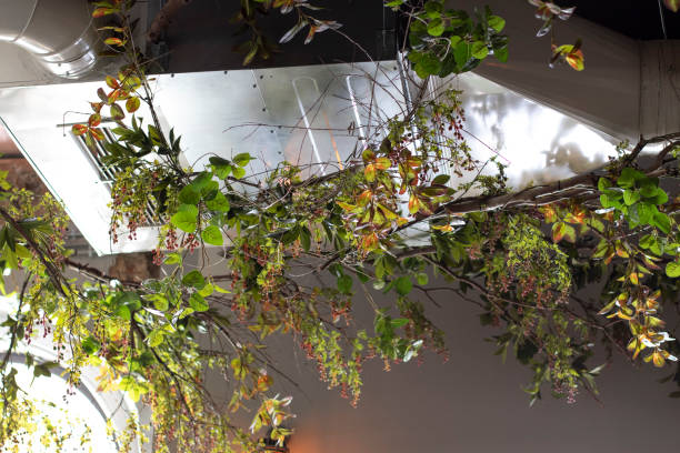istock The decoration of a restaurant ceiling, with hanging plants 1397065113