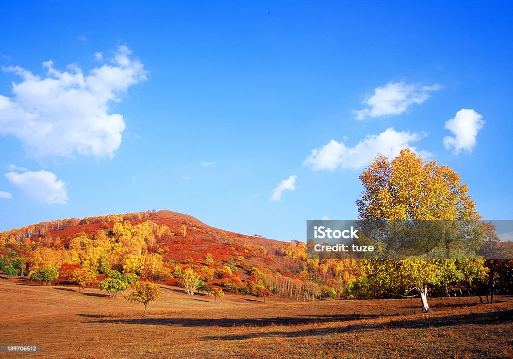 Herbst im Bashang - Lizenzfrei Agrarbetrieb Stock-Foto